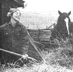 Handbook For the Hired Hand Image